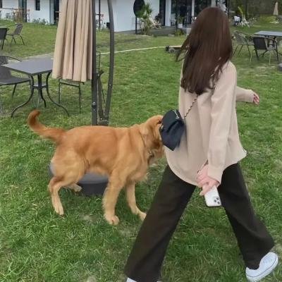 科南